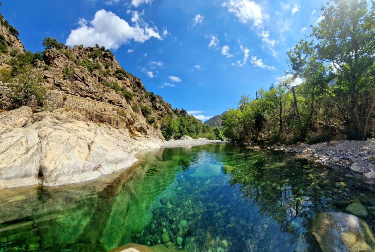 Pianotolinca - Rez De Villa Entre Mer Et Montagne Moltifao Luaran gambar